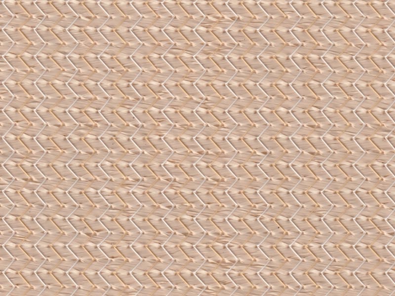 Carousel Image 6